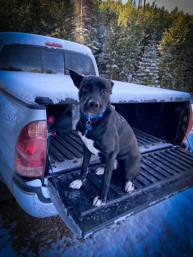 Kilo